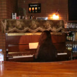 島貫満枝　ﾋﾟｱﾉ&ﾚｽﾄﾗﾝﾊﾞｰ サニーサイド出演　ｼﾞｬｽﾞﾋﾟｱﾉ